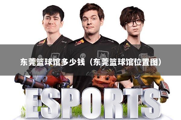 东莞篮球馆多少钱（东莞篮球馆位置图）