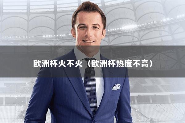 欧洲杯火不火（欧洲杯热度不高）