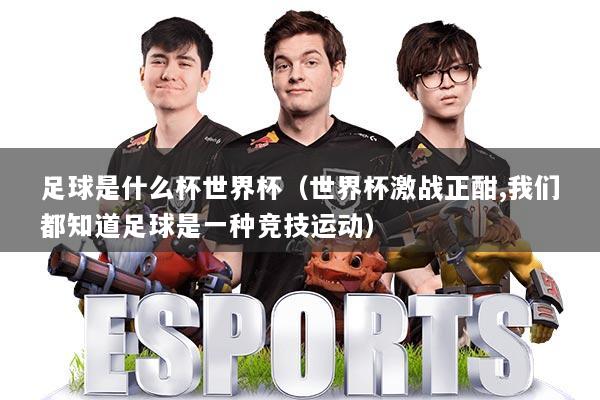 足球是什么杯世界杯（世界杯激战正酣,我们都知道足球是一种竞技运动）