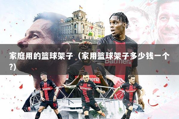 家庭用的篮球架子（家用篮球架子多少钱一个?）