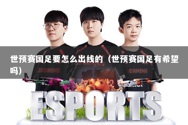 世预赛国足要怎么出线的（世预赛国足有希望吗）