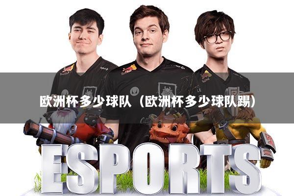 欧洲杯多少球队（欧洲杯多少球队踢）