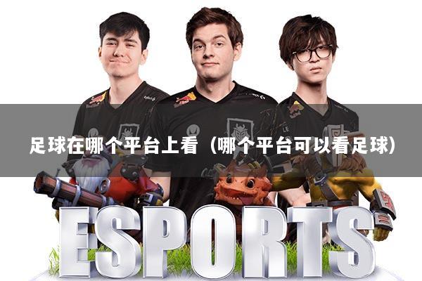 足球在哪个平台上看（哪个平台可以看足球）