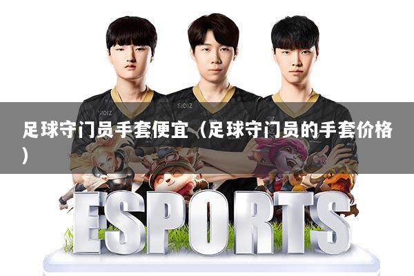 足球守门员手套便宜（足球守门员的手套价格）